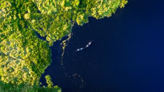 Pacotes de Viagem para o Pantanal no Refúgio Caiman