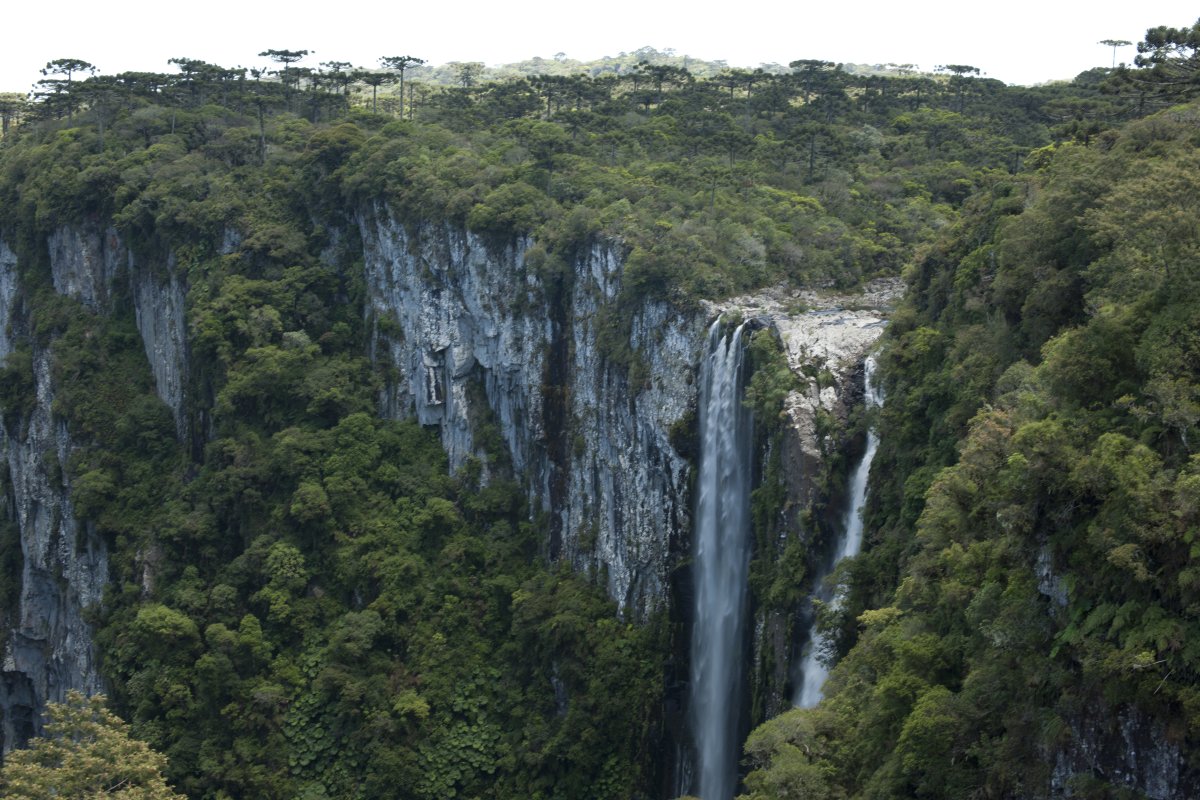 Pacotes de Viagem para os Aparados da Serra