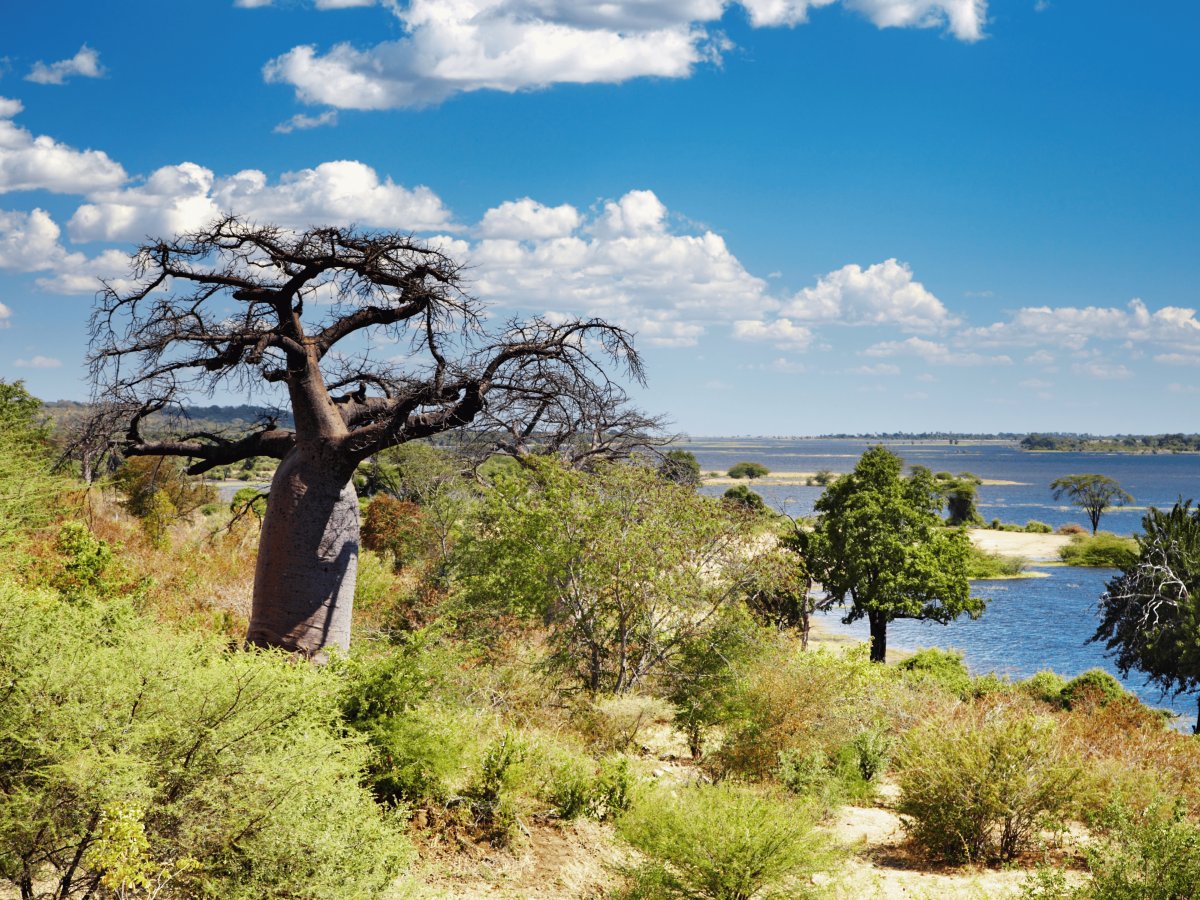 Pacotes de Viagem para Botswana