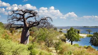 Pacotes de Viagem para Botswana