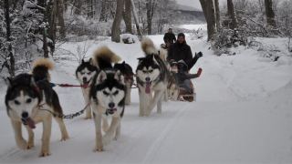 Pacotes de Viagem para Patagônia Argentina Ushuaia Inverno