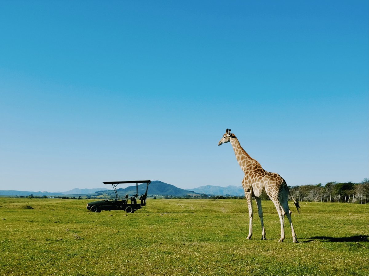 Pacotes de Viagem para Zâmbia