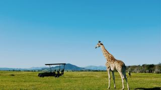 Pacotes de Viagem para Zâmbia