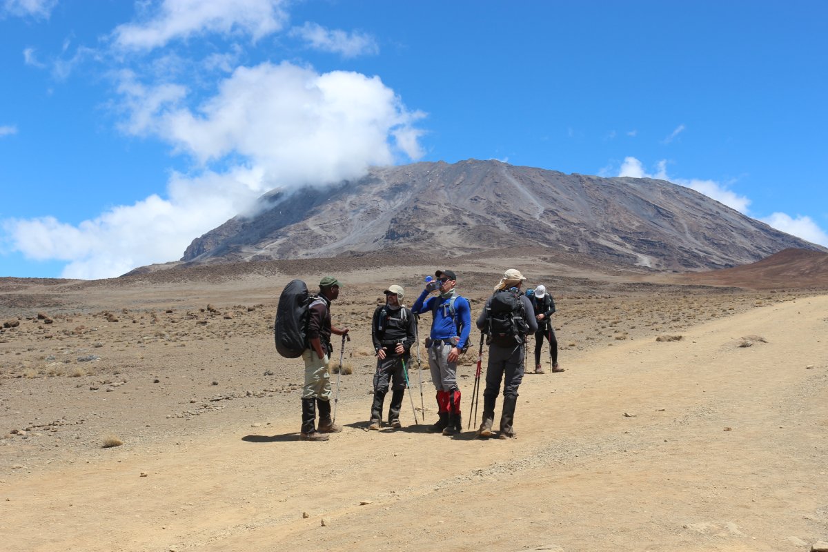 Pacotes de Viagem para a Expedição Kilimanjaro na Tanzânia