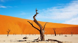 Pacotes de Viagem para a Namíbia