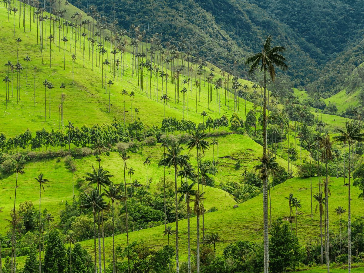 Pacotes de Viagem para Colômbia