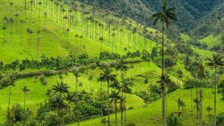 Pacotes de Viagem para Colômbia