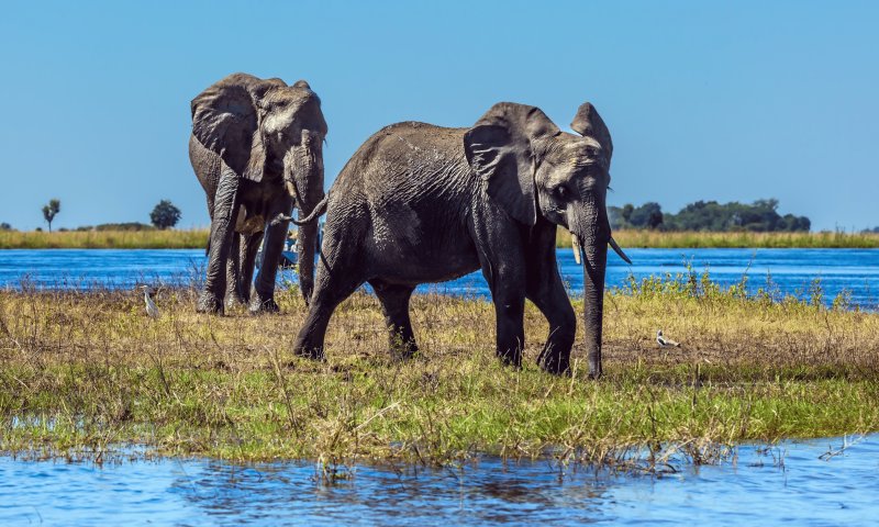 Botswana