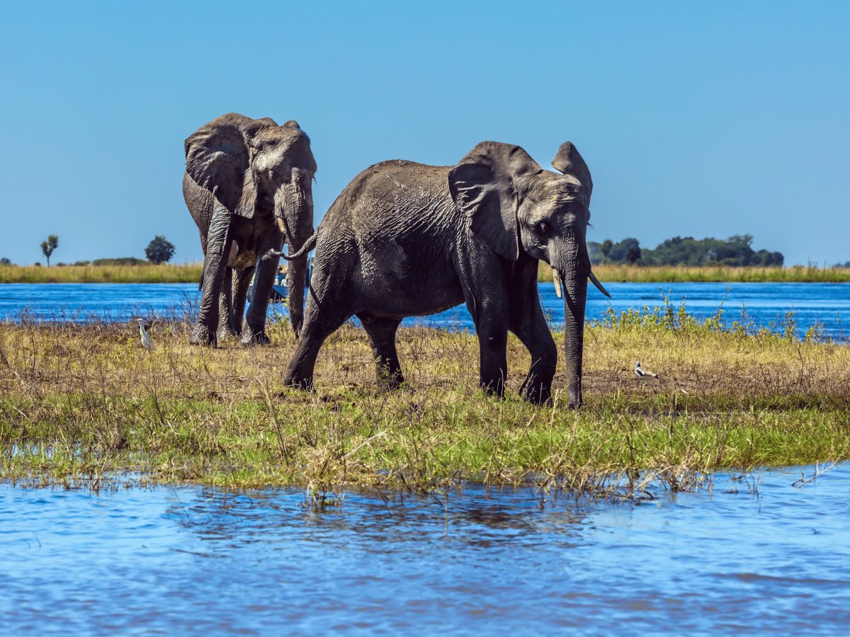 Pacotes de Viagem para Botswana