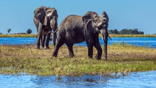 Pacotes de Viagem para Botswana