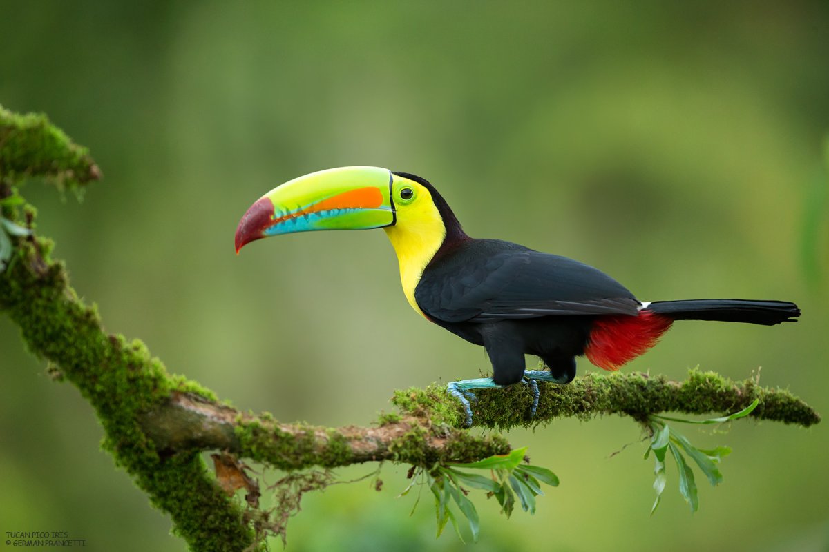 Pacotes de Viagem para Costa Rica