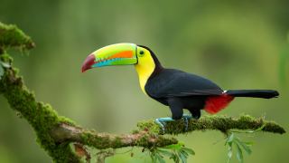 Pacotes de Viagem para Costa Rica