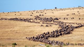 Pacotes de Viagem para o Quênia