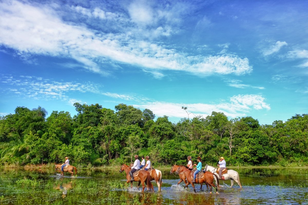 Pacotes de Viagem para o Pantanal na Pousada Aguapé