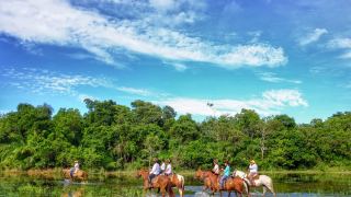 Pacotes de Viagem para o Pantanal na Pousada Aguapé