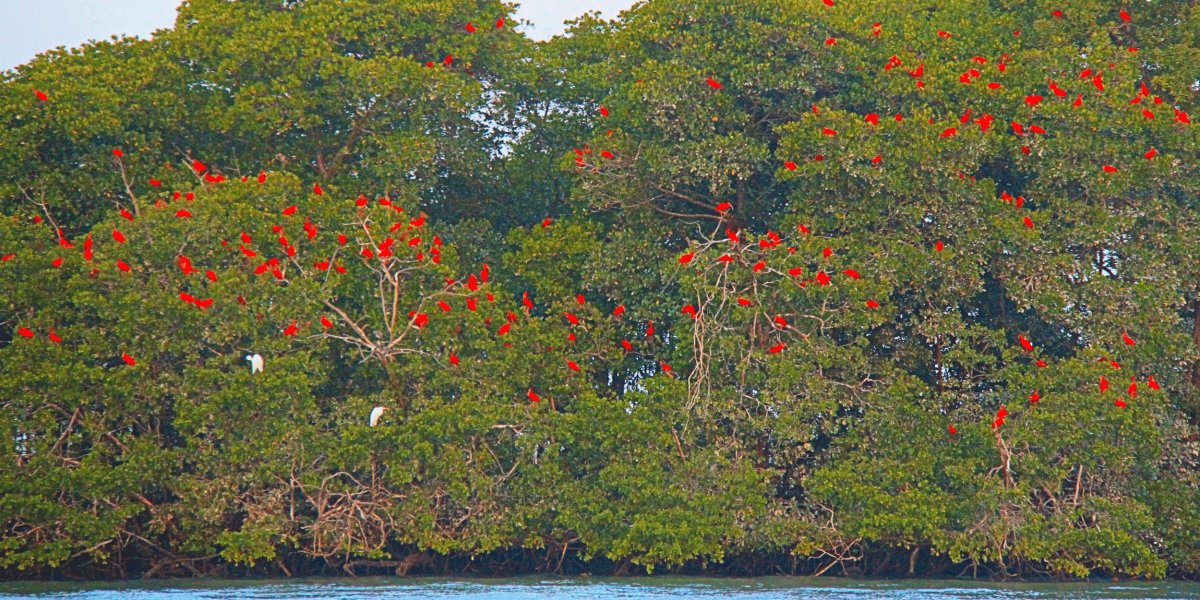 Pacote de Viagem para o Delta do Parnaíba