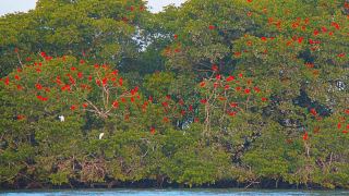 Pacote de Viagem para o Delta do Parnaíba