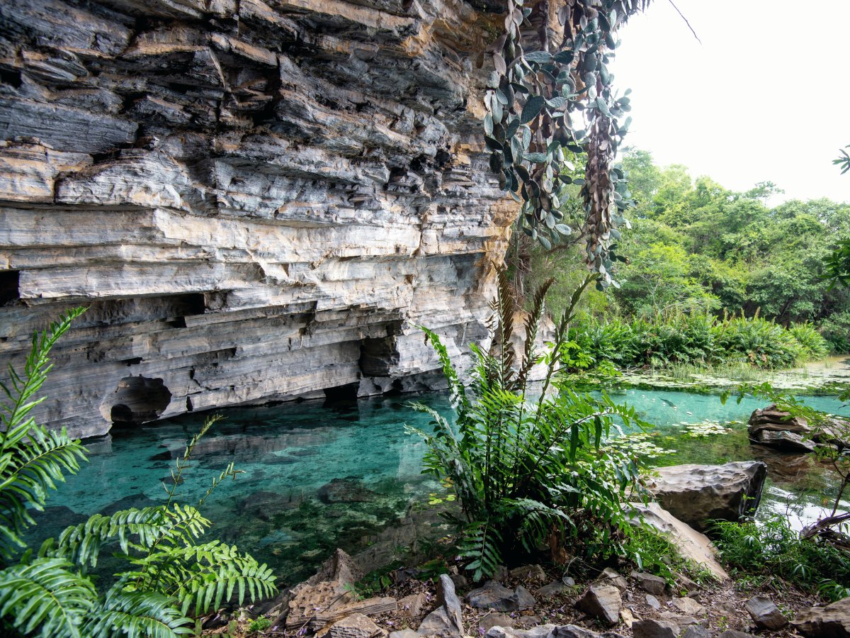 Pacotes de Viagem para o Chapada Diamantina