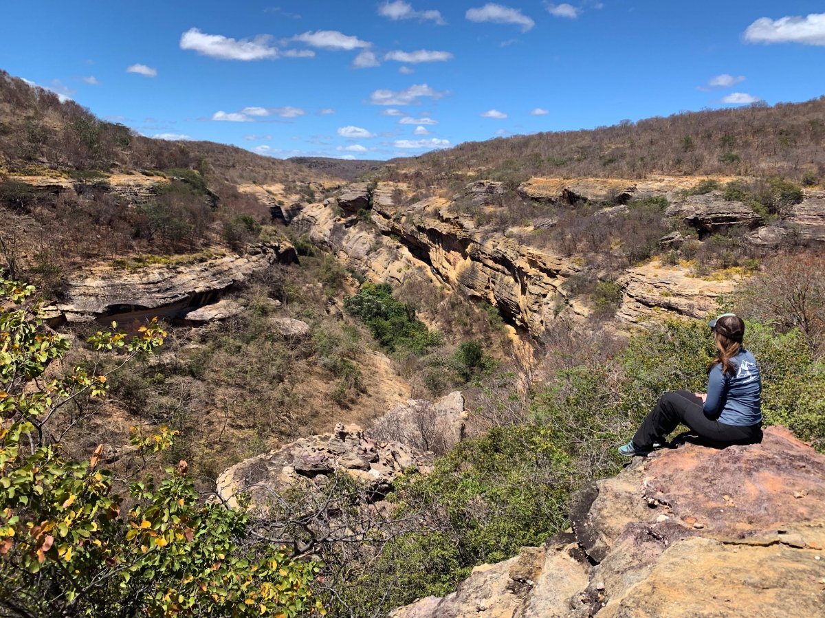 Pacotes de Viagem para a Serra da Capivara