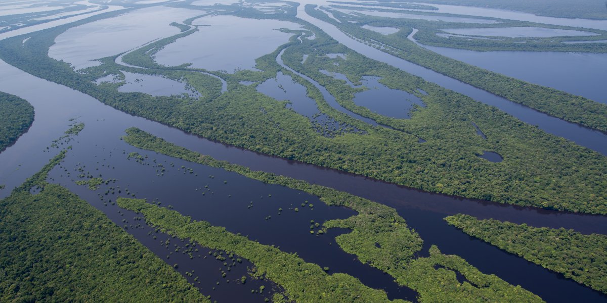 Pacotes de Viagem para a Amazônia com Anavilhanas Jungle Lodge