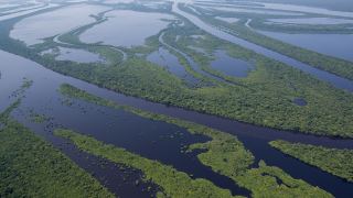 Pacotes de Viagem para a Amazônia com Anavilhanas Jungle Lodge