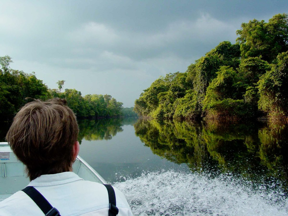 Pacotes de Viagem para o Amazônia no Cristalino Jungle Lodge