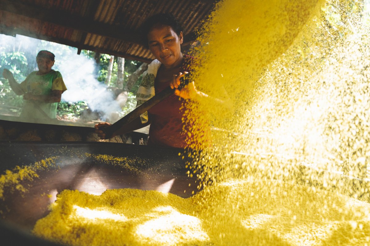 Pacote de Viagem para Amazônia com Vivência Ribeirinha no Baixo Rio Negro