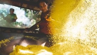 Pacote de Viagem para Amazônia com Vivência Ribeirinha no Baixo Rio Negro
