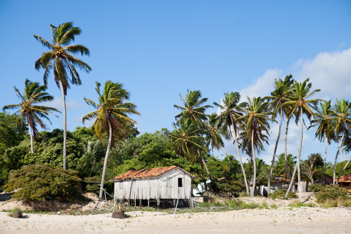 Pacotes de Viagem para Ilha do Marajó Pará