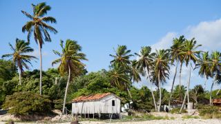 Pacotes de Viagem para Ilha do Marajó Pará