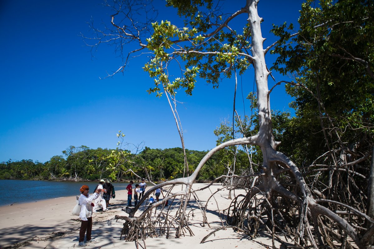 Pacotes de Viagem para Ilha do Marajó Pará