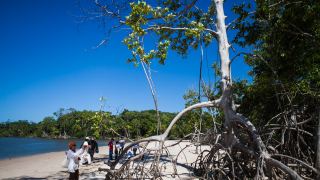 Pacotes de Viagem para Ilha do Marajó Pará