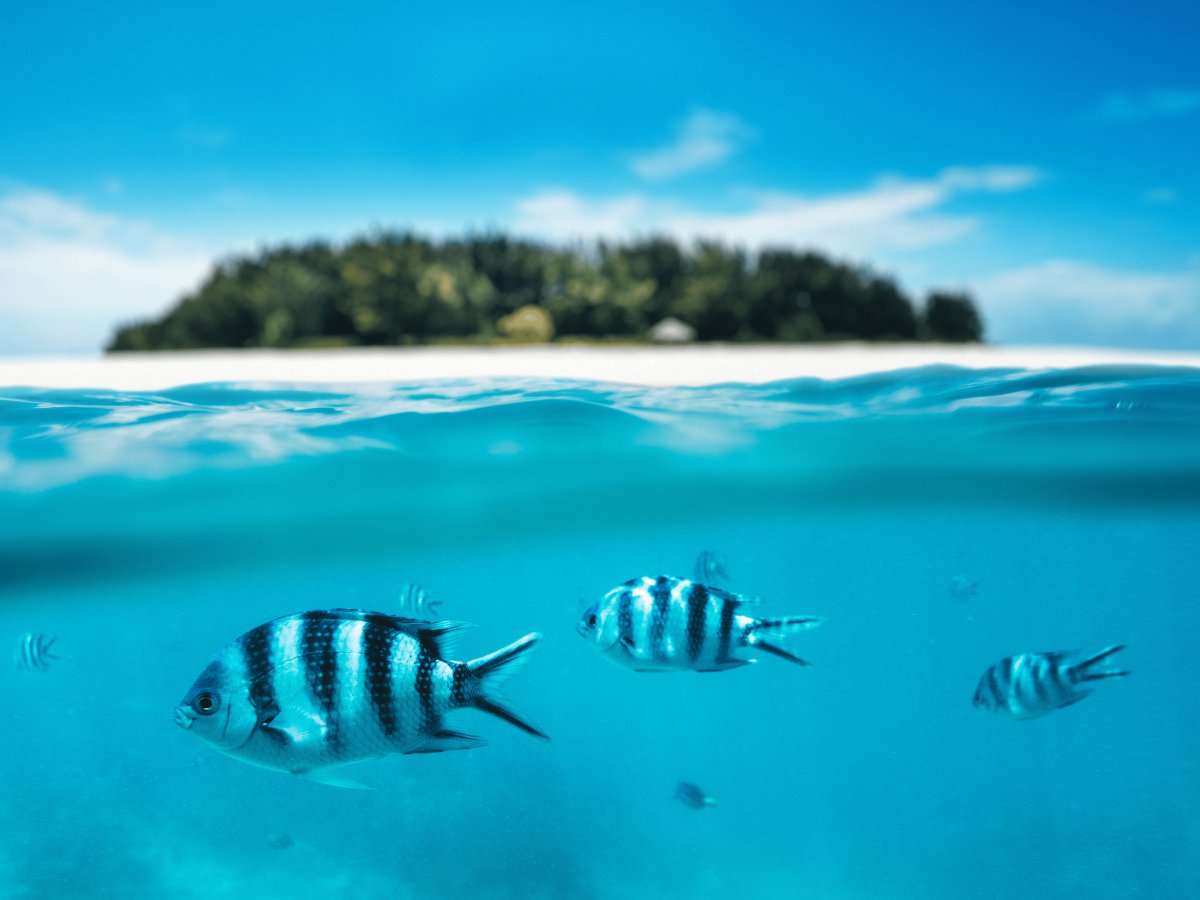Pacotes de Viagem para Zanzibar na Tanzânia