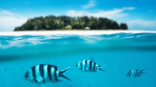 Pacotes de Viagem para Zanzibar na Tanzânia
