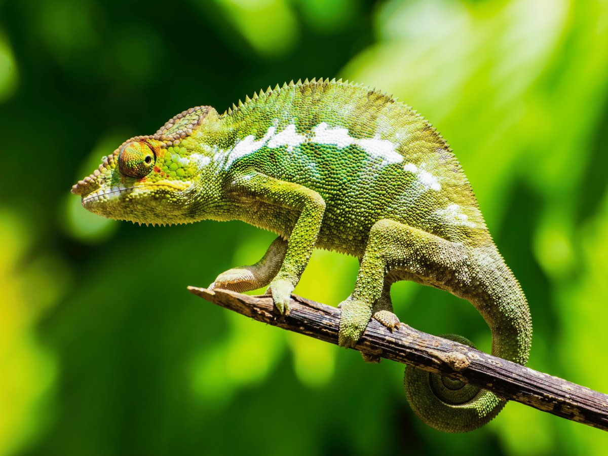 Pacotes de Viagem para Madagascar