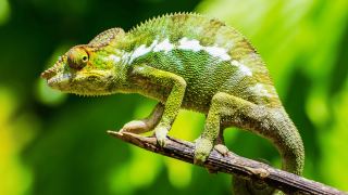 Pacotes de Viagem para Madagascar