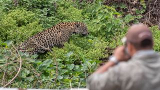 Pacotes de Viagem para o Pantanal Norte