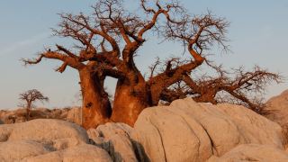 Pacotes de Viagem para Botswana