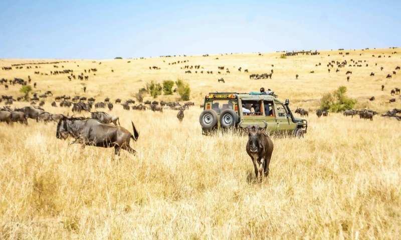 África