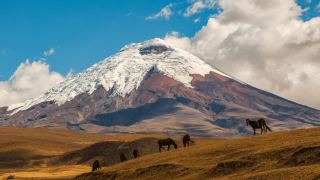 Pacotes de viagem para o Equador com Quito e Avenida dos Vulcões