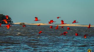 Pacotes de Viagem para a Rota das Emoções