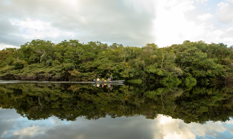 Amazonas