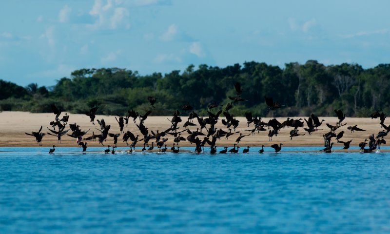 Parque Estadual do Cantão