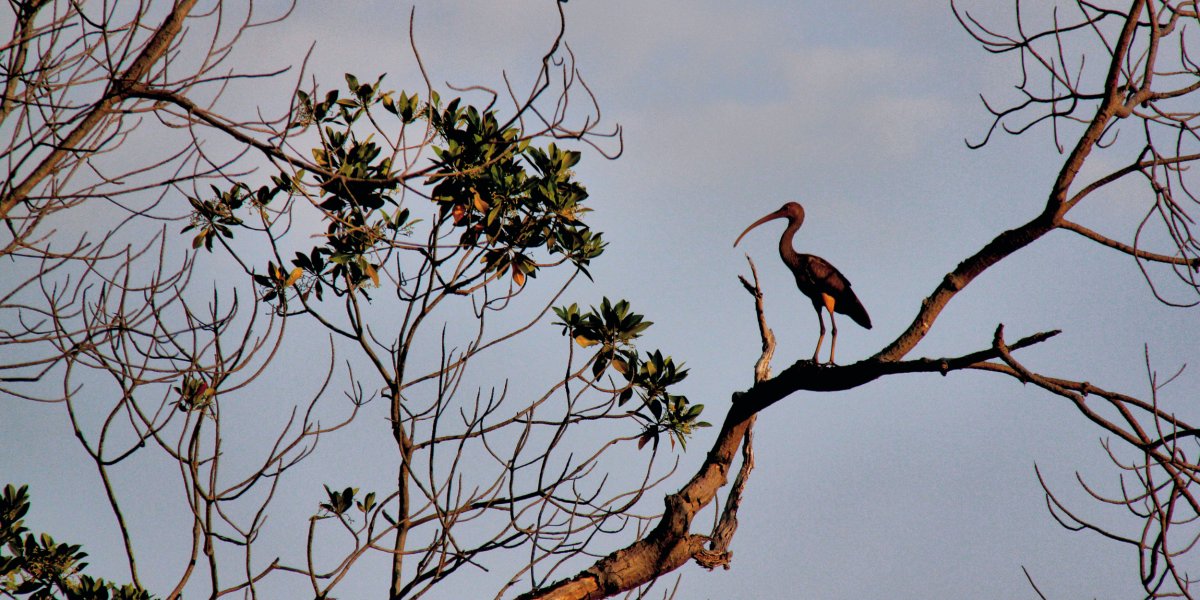 Pacote de Viagem para o Delta do Parnaíba