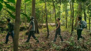 Pacote de Viagem para Amazônia na Reserva Mamirauá Pousada Uacari