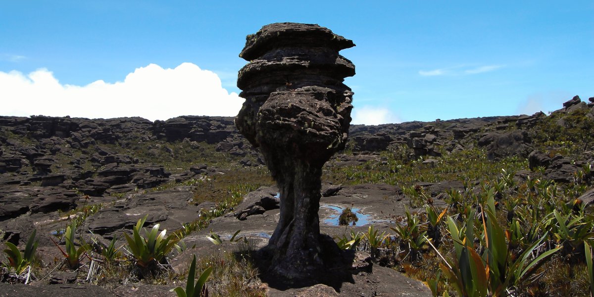 Pacotes de Viagem para o Monte Roraima