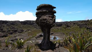 Pacotes de Viagem para o Monte Roraima