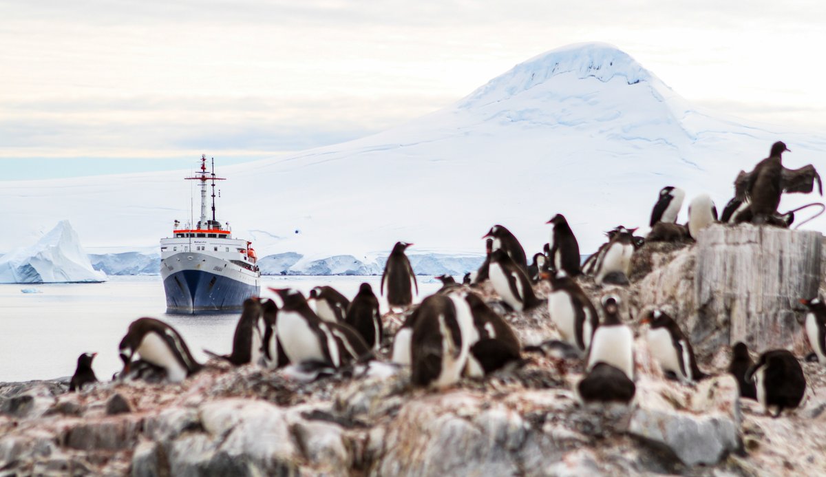 Pacotes de Viagem para Cruzeiro na Antártica