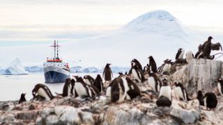 Pacotes de Viagem para Cruzeiro na Antártica