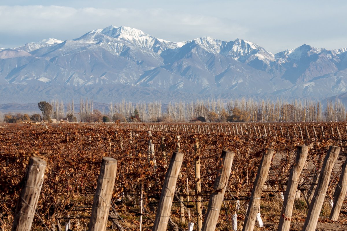 Pacotes de Viagem para Mendoza